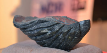 Verschlossene Auster