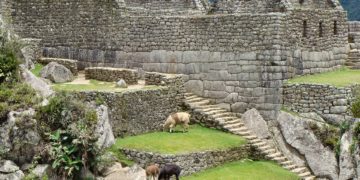 Die heilige Inka-Stätte von Machu Pichu in Peru steht unter dem Schutz des Unesco-Weltkulturerbes. Wild biserln dürfen hier bestenfalls die Lamas. (Foto Aline Dassel, Pixabay)