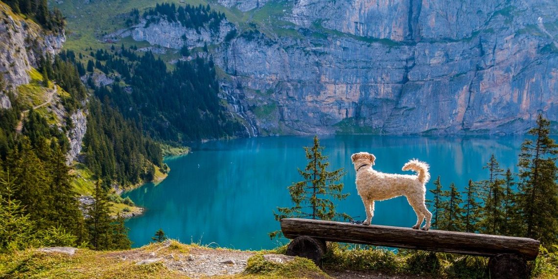 In der Schweiz denkt man schon darüber nach, wer die Kosten von Corona alles bezahlen könnte. Hier ein Schweizer Bergsee. (Bild: pixabay.com free)